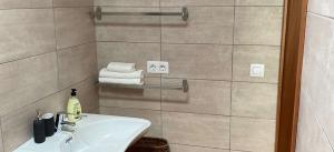 604big-playa-blanca-villa-arabella-wheelchair-accessable-bathroom