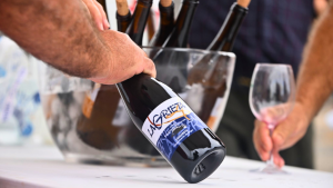 lanzarote wine run
