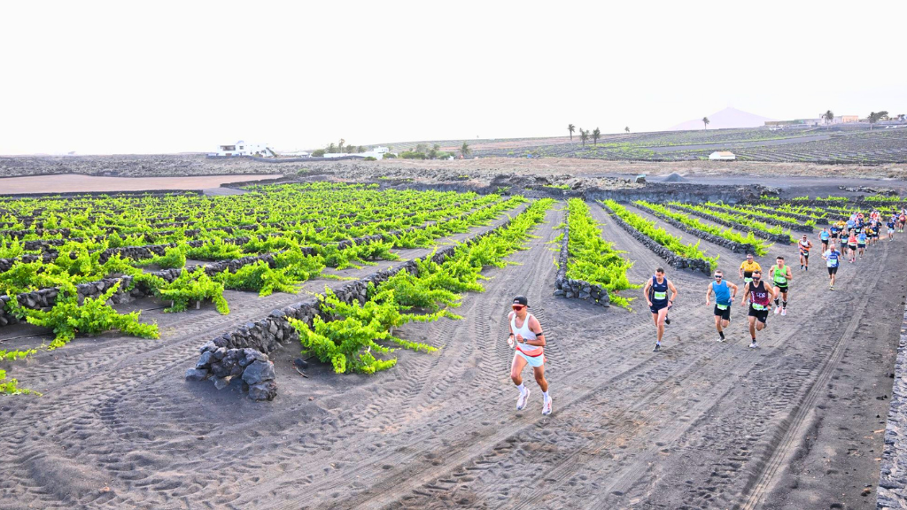 lanzarote wine run