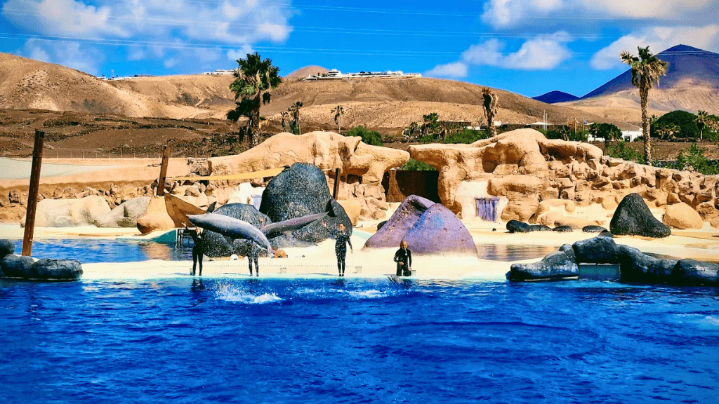 The Perfect Ending: Hotel Day Pass Playa Blanca for Late Departures 6 Hotel Day Pass Playa Blanca