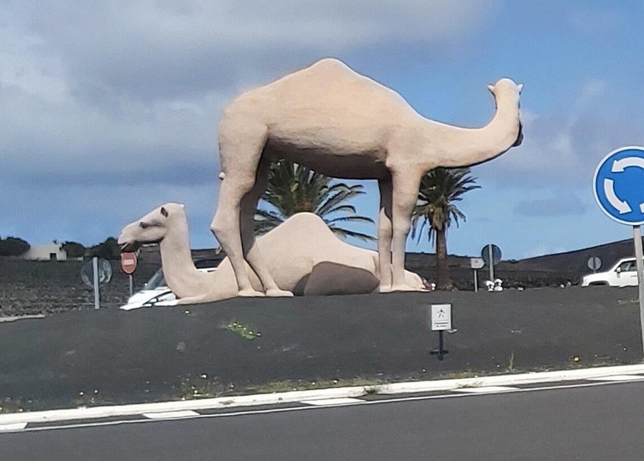 Camel roundabout Market in Playa Blanca Lanzarote